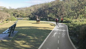 Eric Green Reserve